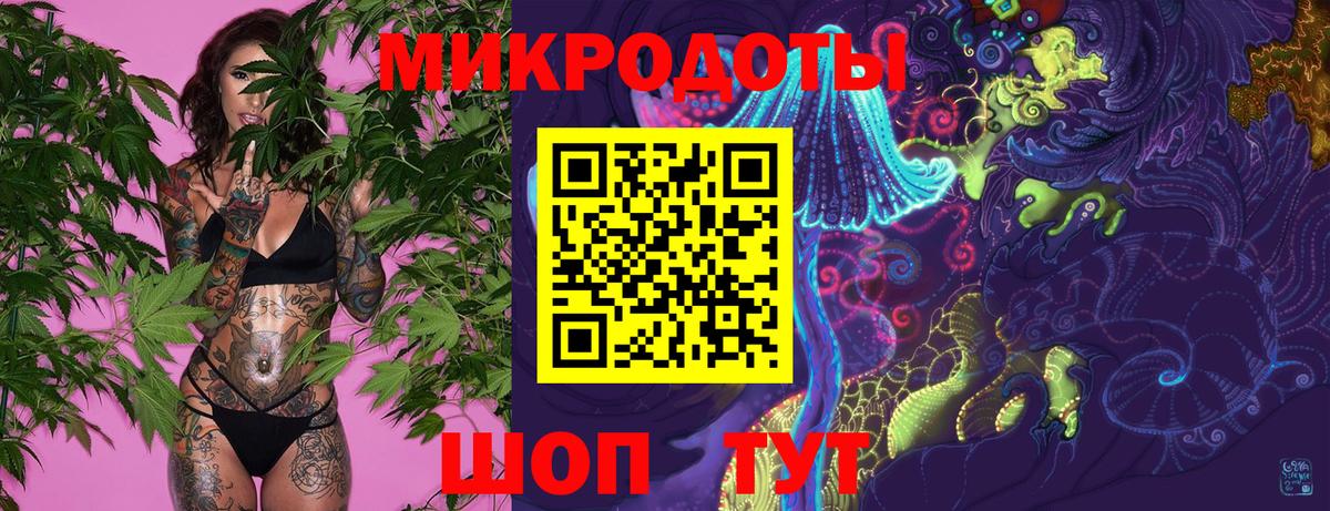 Галлюциногенные грибы Psilocybine cubensis Апрелевка